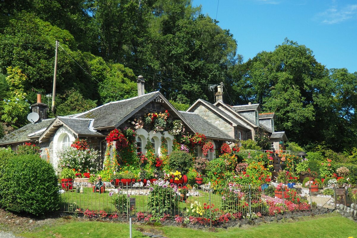 Professionally landscaped residential property in Northwest Georgia