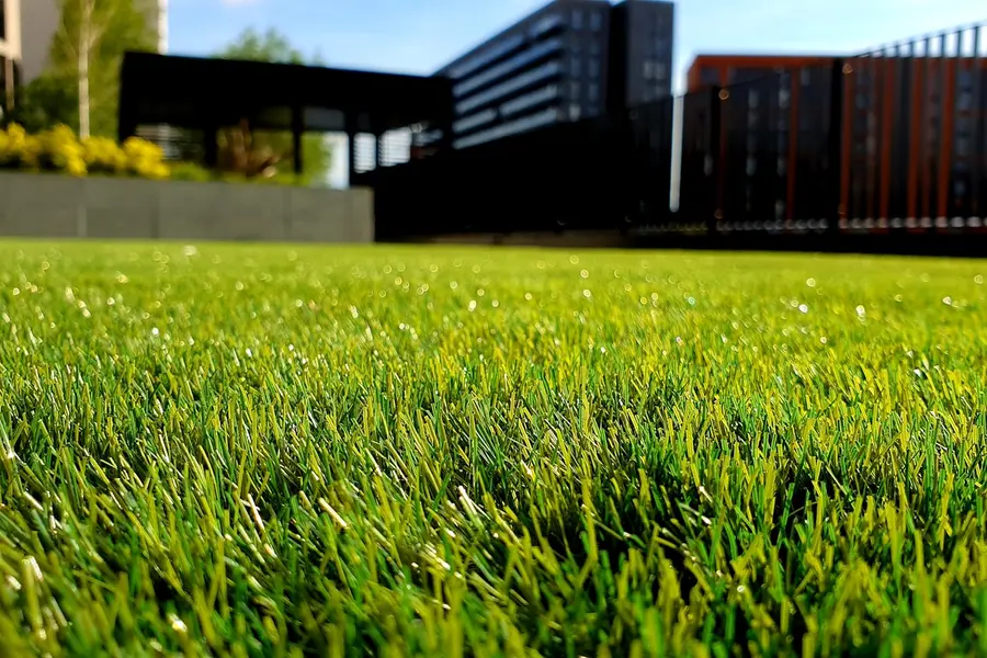 Complete Lawn Service project