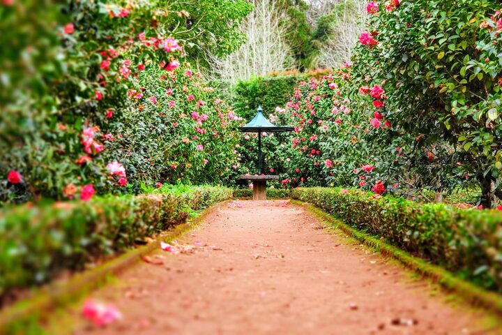 Landscape design and installation service