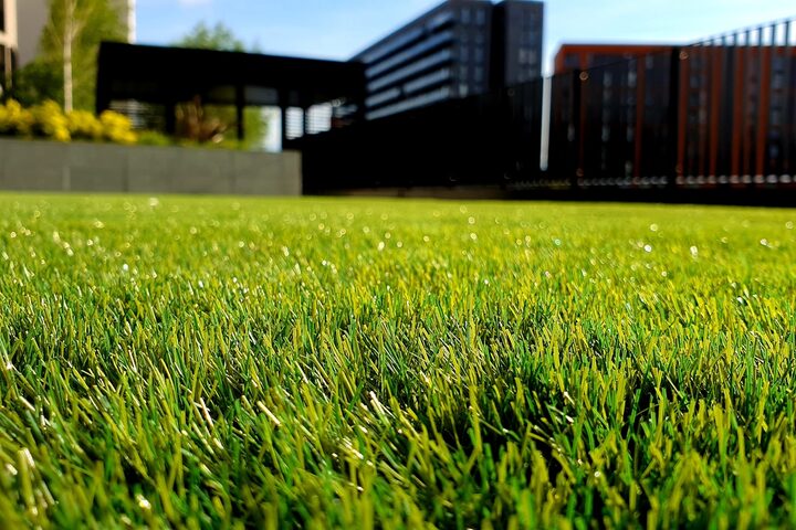 Residential landscape maintenance, irrigation and lighting